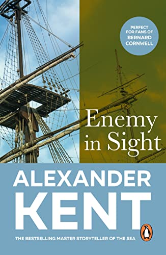 Enemy in Sight! cover