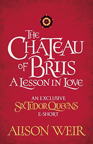 The Chateau of Briis cover