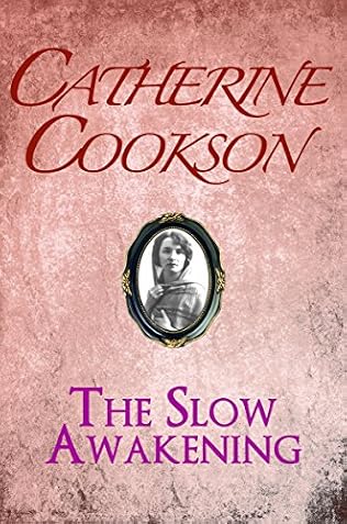 The Slow Awakening cover