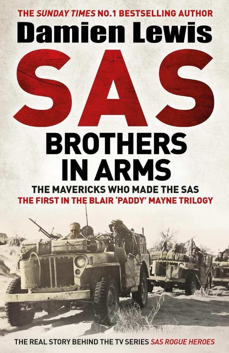 SAS Brothers in Arms cover