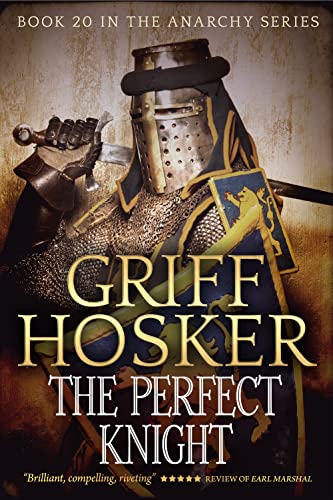 The Perfect Knight cover