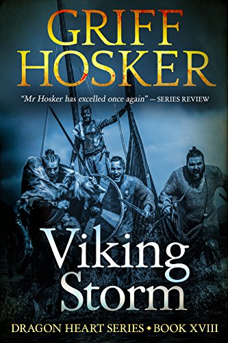 Viking Storm cover