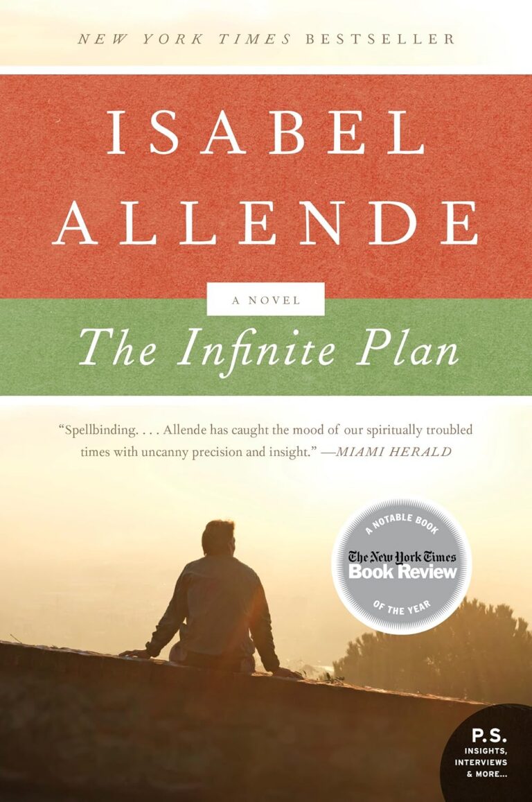 The Infinite Plan cover