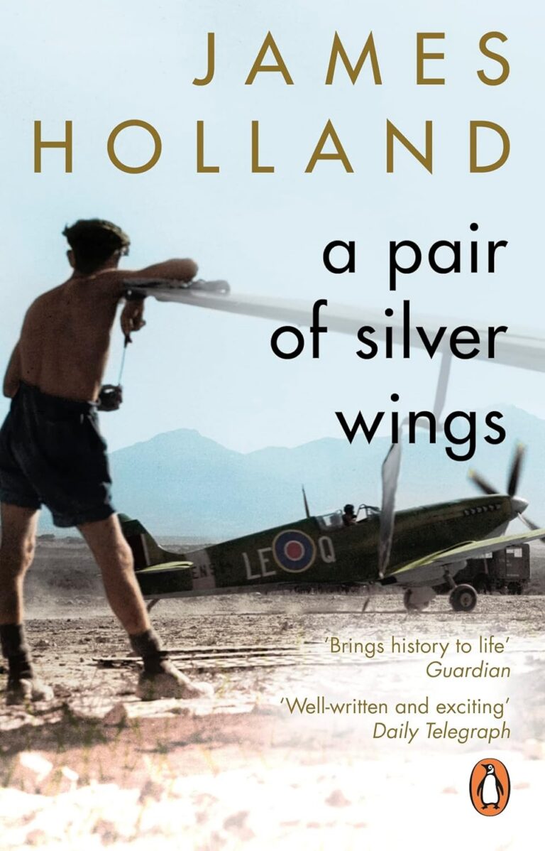 A Pair of Silver Wings cover