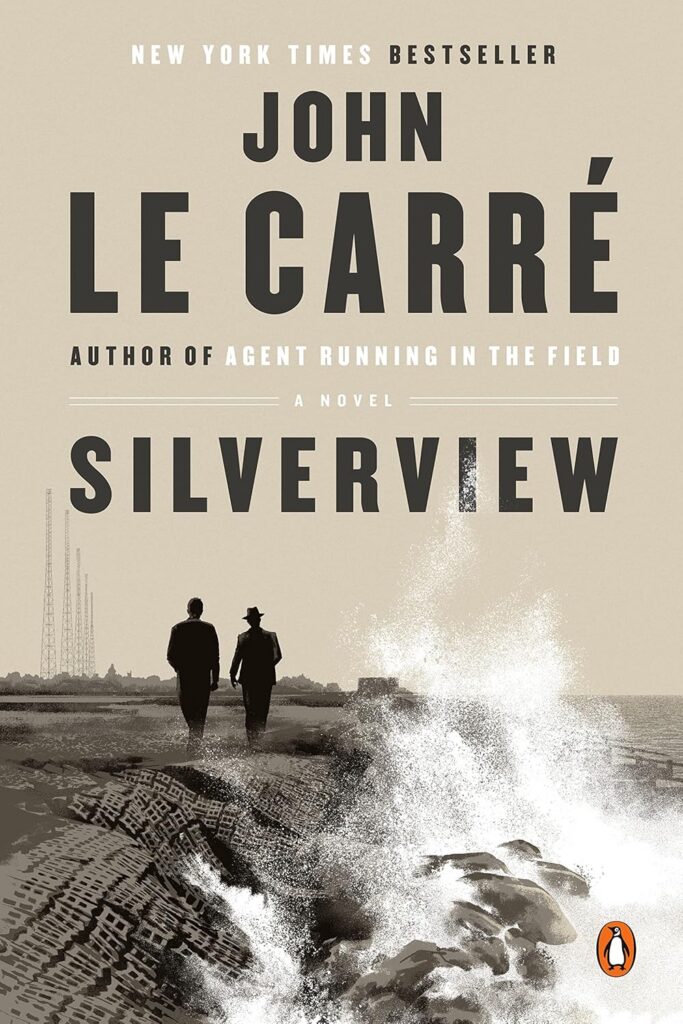 Silverview cover