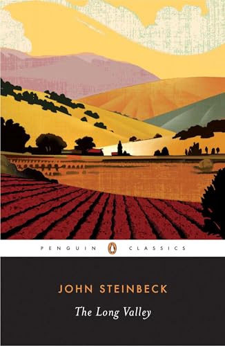The Long Valley cover