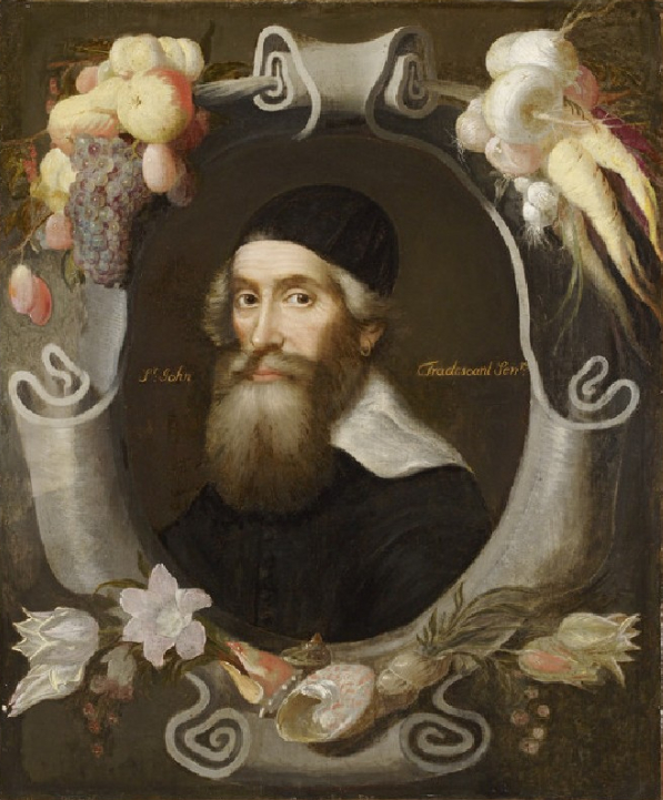 Portrait of John Tradescant the elder