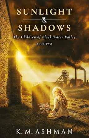 Sunlight and Shadows cover