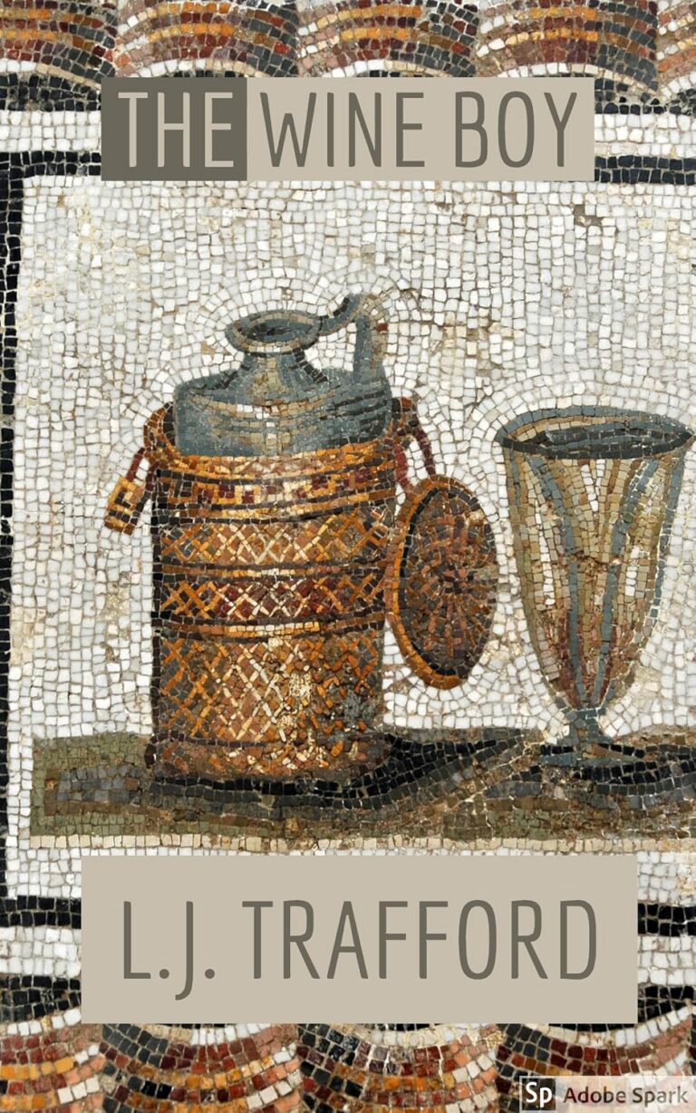 The Wine Boy cover