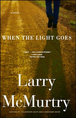 When the Light Goes cover
