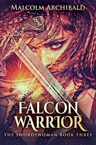 Falcon Warrior cover
