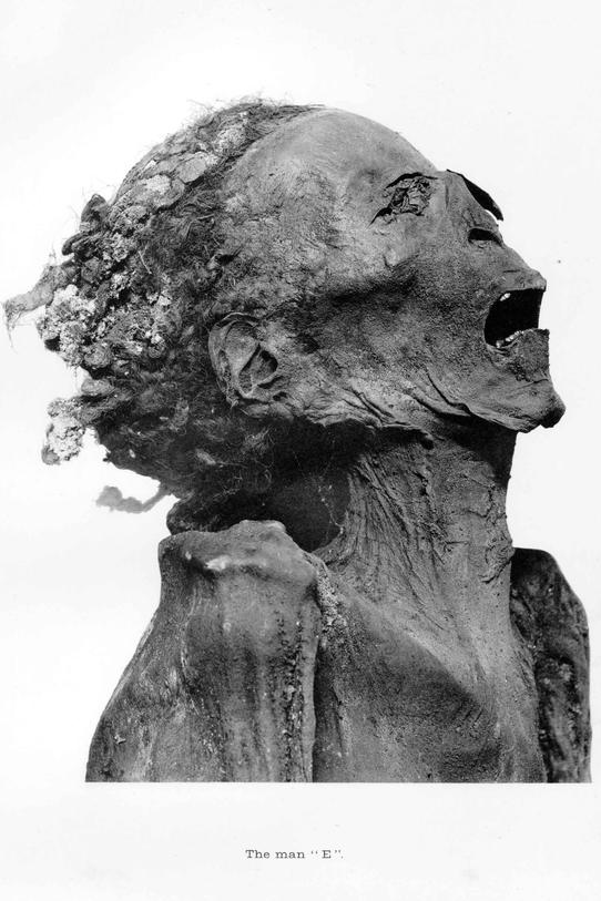 Portrait of Pentawer