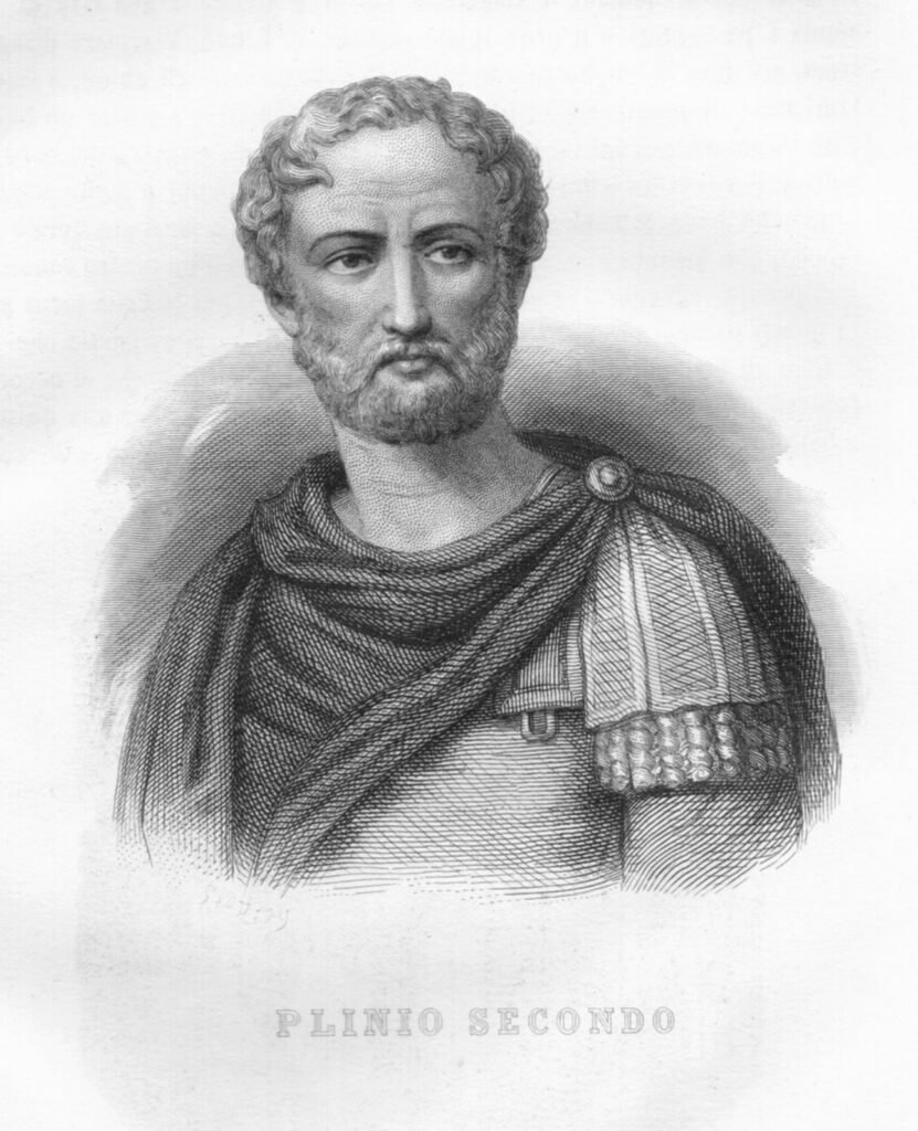 Portrait of Pliny the Elder