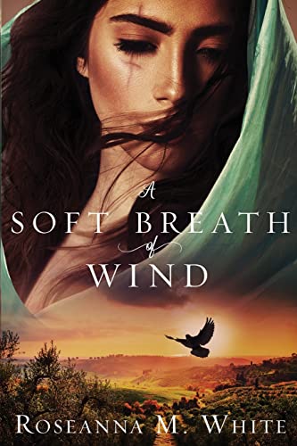 A Soft Breath of Wind (a Visibullis Story) cover
