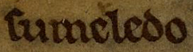 Portrait of Somerled