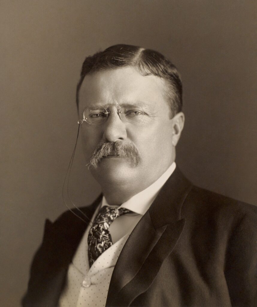Portrait of Theodore Roosevelt