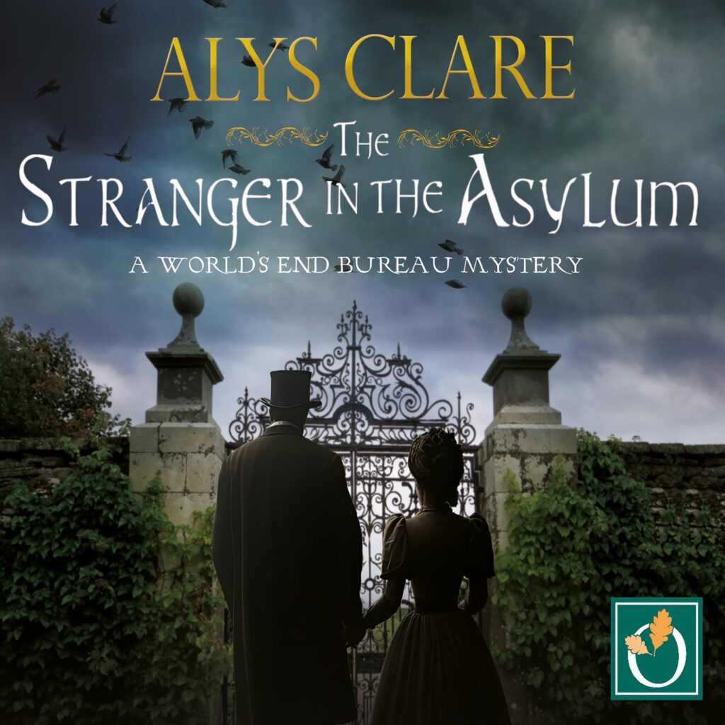 The Stranger in the Asylum cover