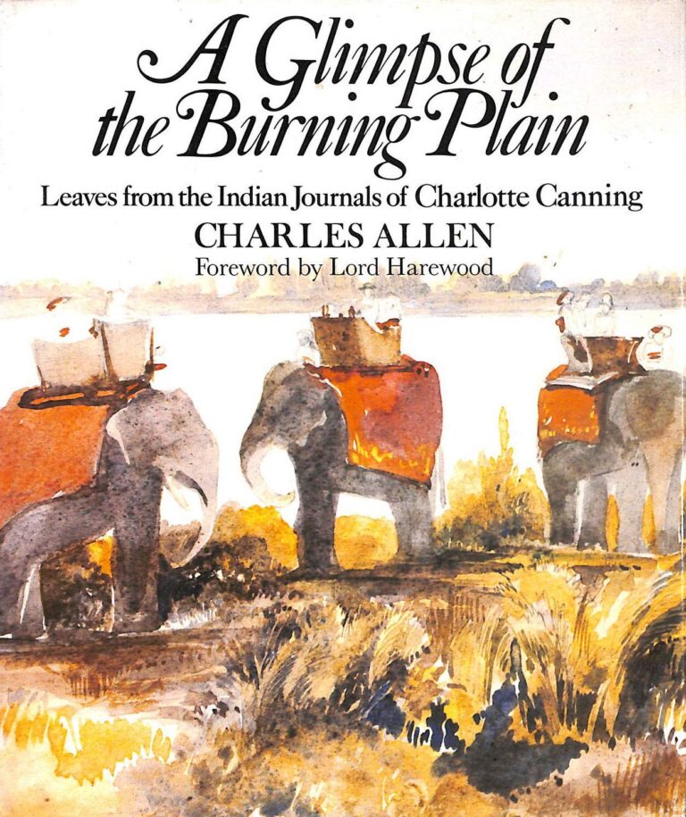 A Glimpse of the Burning Plain cover