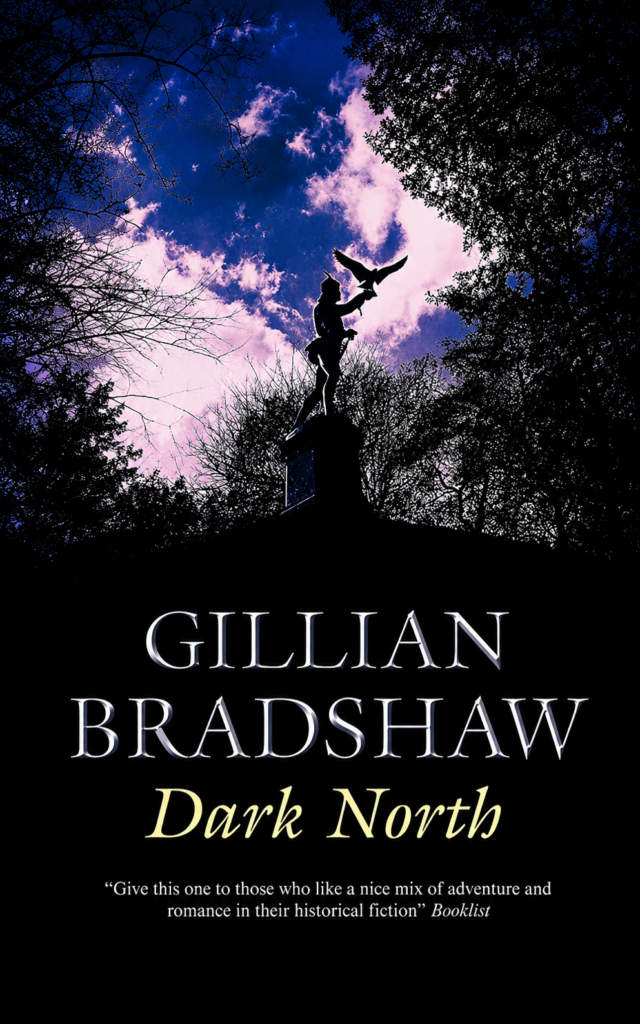 Dark North cover