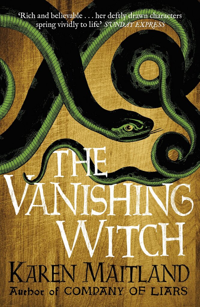 The Vanishing Witch cover