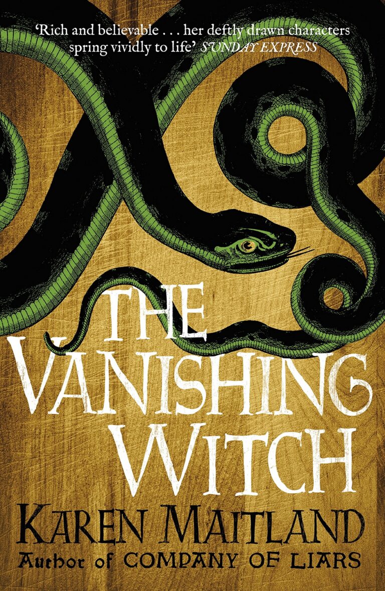 The Vanishing Witch cover