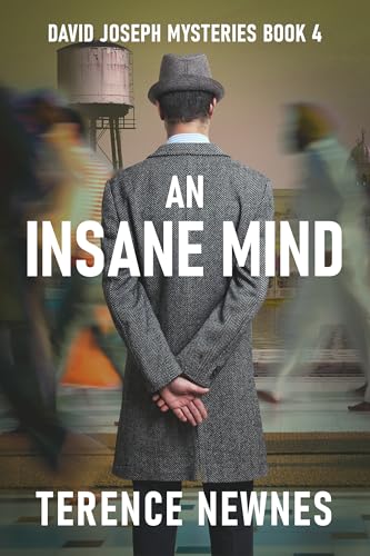 An Insane Mind cover