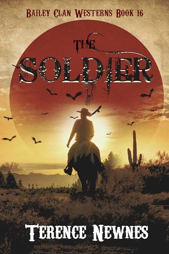 The Soldier cover